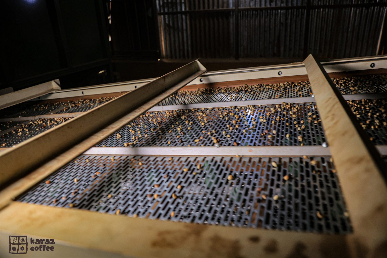 Coffee being graded over sorting screens at the Karaz factory